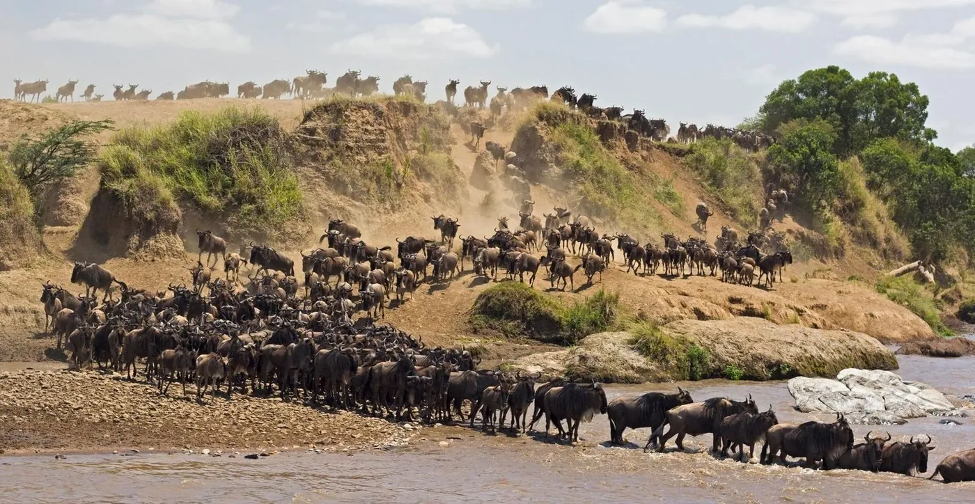 Maasai Mara