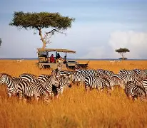 maasai mara safaris