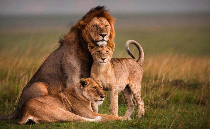 3 days safari from Nairobi