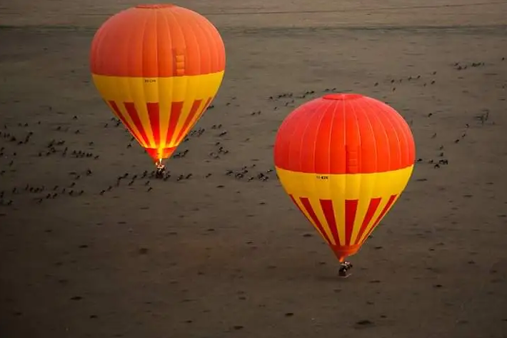 Masai Mara Balloon Safaris