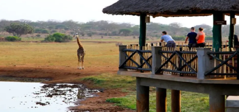 2 Days Tsavo East Safari