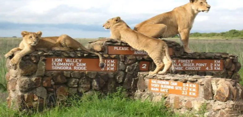 3 Days Amboseli & Tsavo West