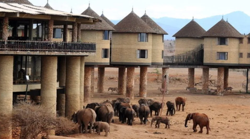 Taita Hills Saltlick Safari