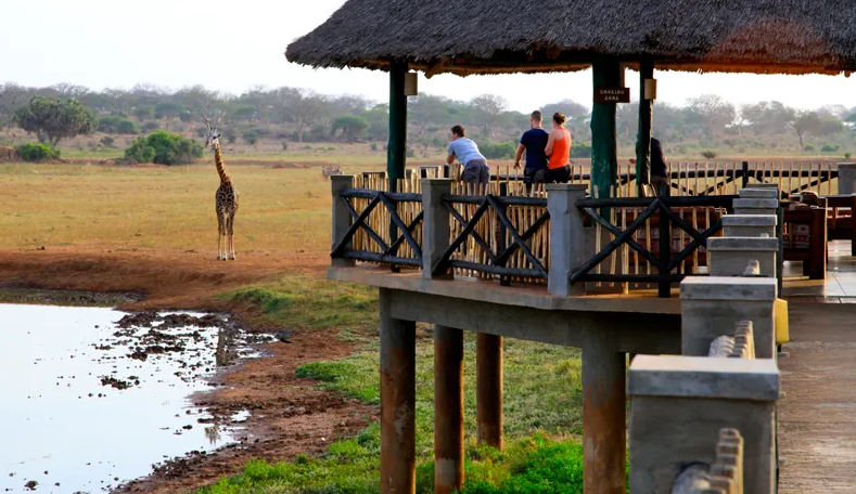 Ngalia Safari Lodge