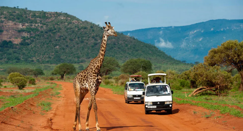 5 Days Nairobi Safari