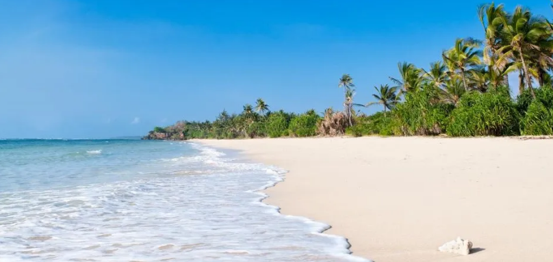 7 Days of Masai Mara Safari & Diani Beach