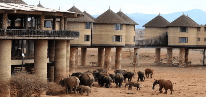 6 Days Tsavo West & Masai Mara Fly in Safari