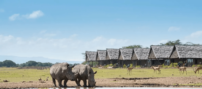 7 Days Fly-into Sweetwater & Mara