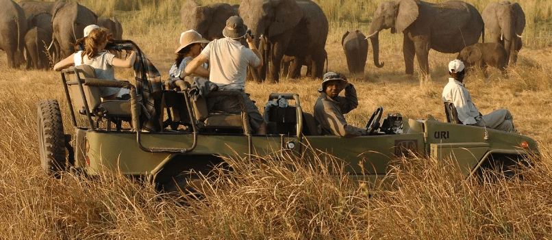 7 days amboseli, lake nakuru and masai mara camping safari