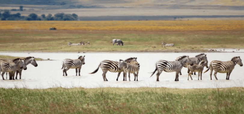 4 Days Tarangire and Ngorongoro Safari