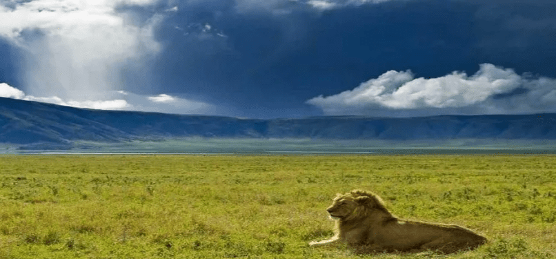5 Days Ngorongoro & Serengeti National Parks