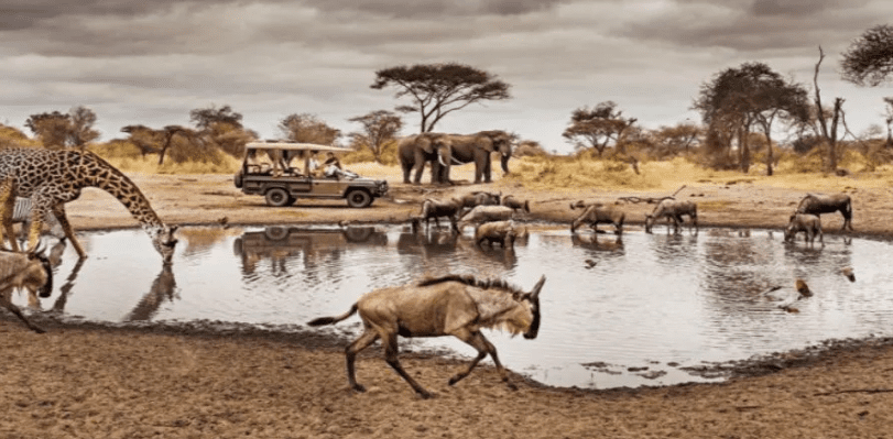 Tarangire Ngorongoro And Serengeti
