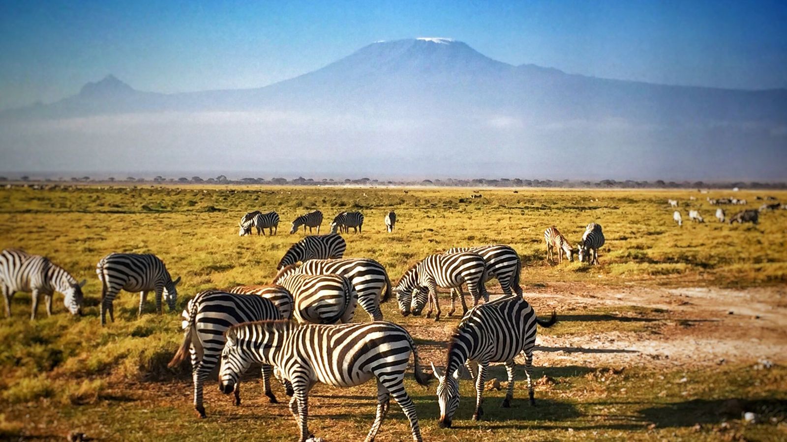 tours and safaris