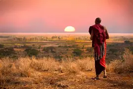 SAFARI IN KENYA