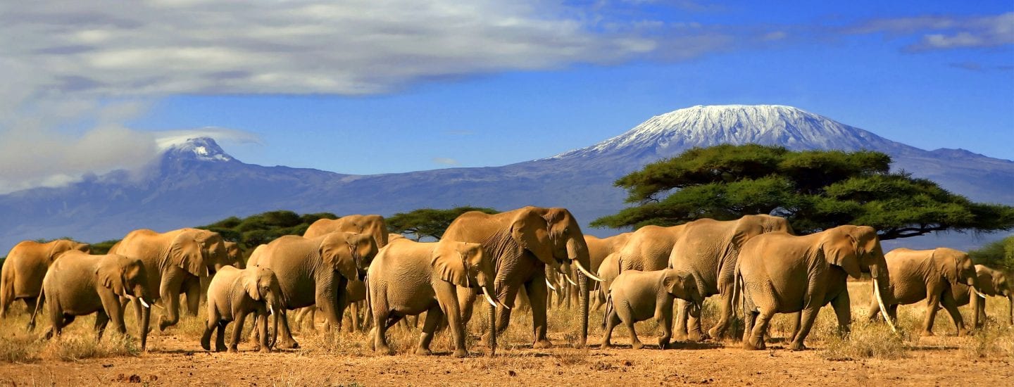 Tsavo west safari costs and self drive
