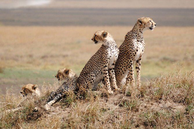 2 Days Safari from Mombasa