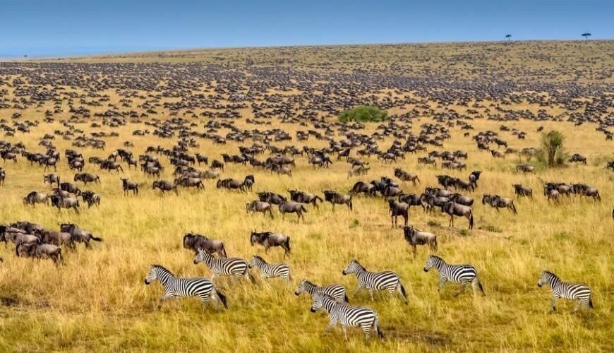 3 Days Masai Mara Safari