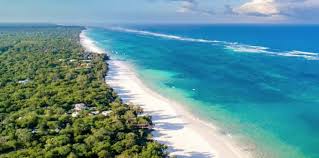 5 Days Starting from Diani