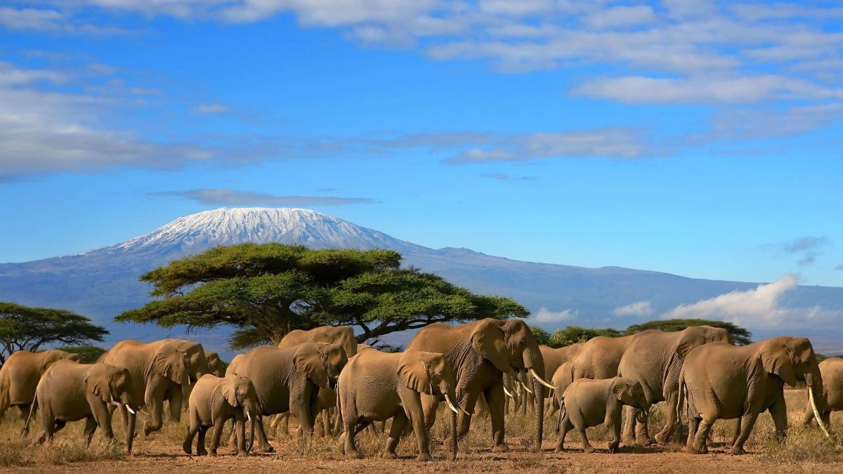 3 days safari from nairobi to amboseli