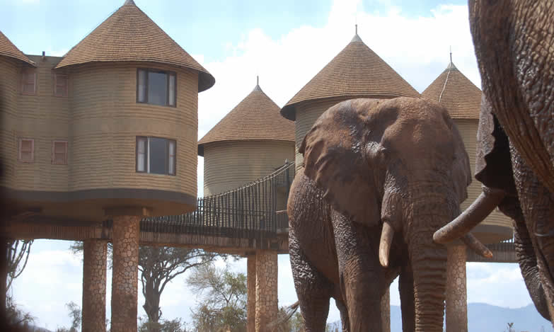 4 Days Tsavo East and West