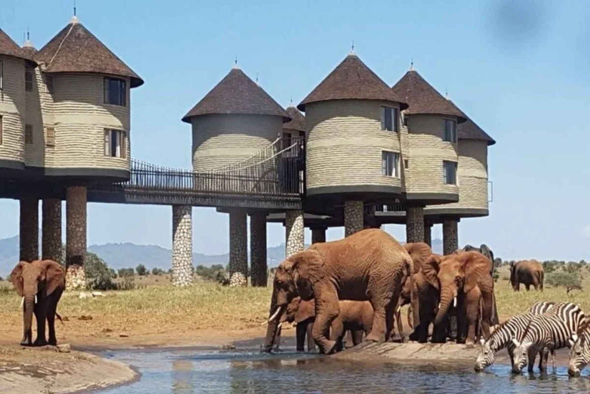 5 Days Tsavo East and West Safari