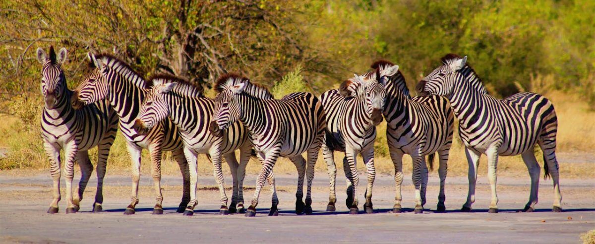 2 Days Tsavo East and West
