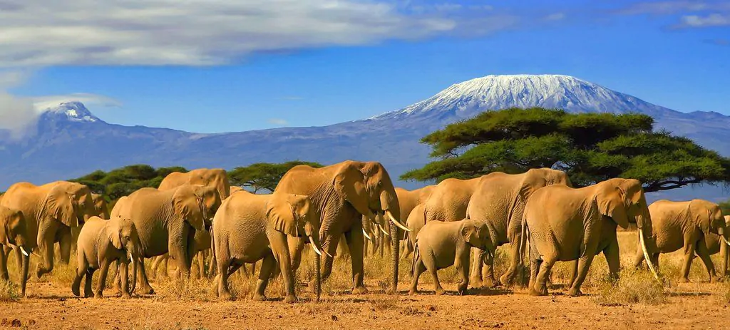 3-Day Masai Mara Safari from Mombasa