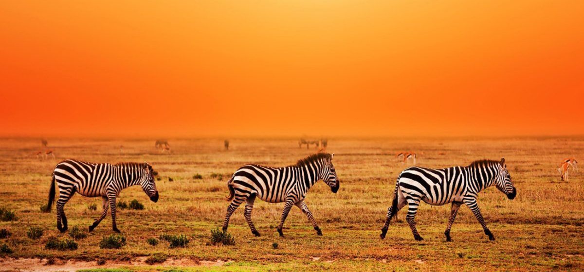 2 days tsavo east safari packages