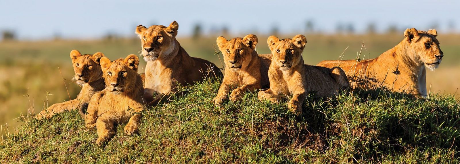 Kenya Tour Packages from Nairobi