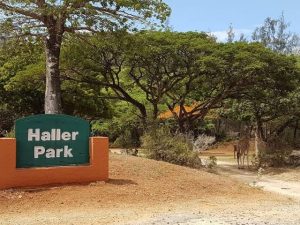 Mombasa Tour Packages