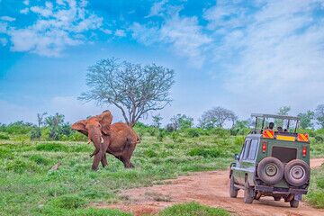 Masai Mara Balloon Safari, 3 Days Masai Mara Safari, Masai Mara Tour, 3 Days Masai Mara Balloon Safari