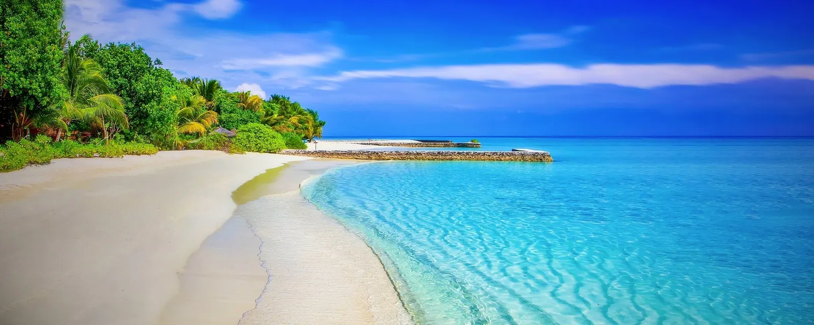 Safaris from Diani Beach