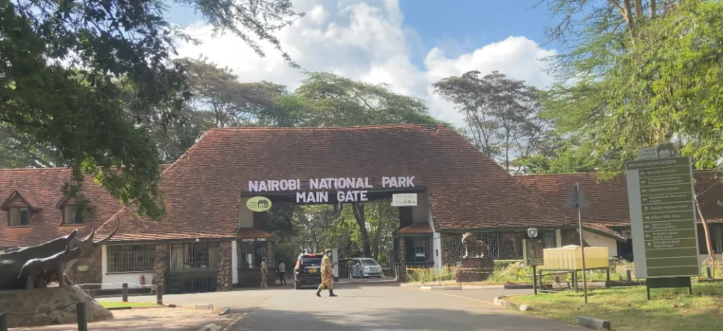 Game Drive in Nairobi National Park