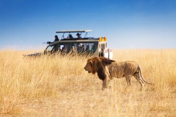 Tsavo Safari from Diani Beach