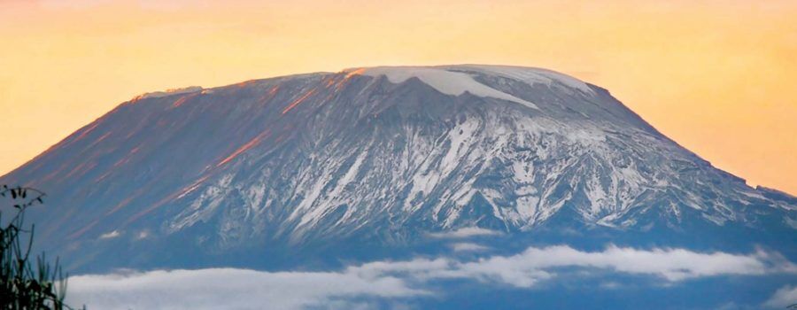 Tanzania Safari Packages: Secrets to Booking Premium or Budget Trips.