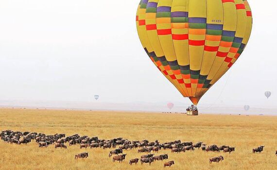tanzania safari