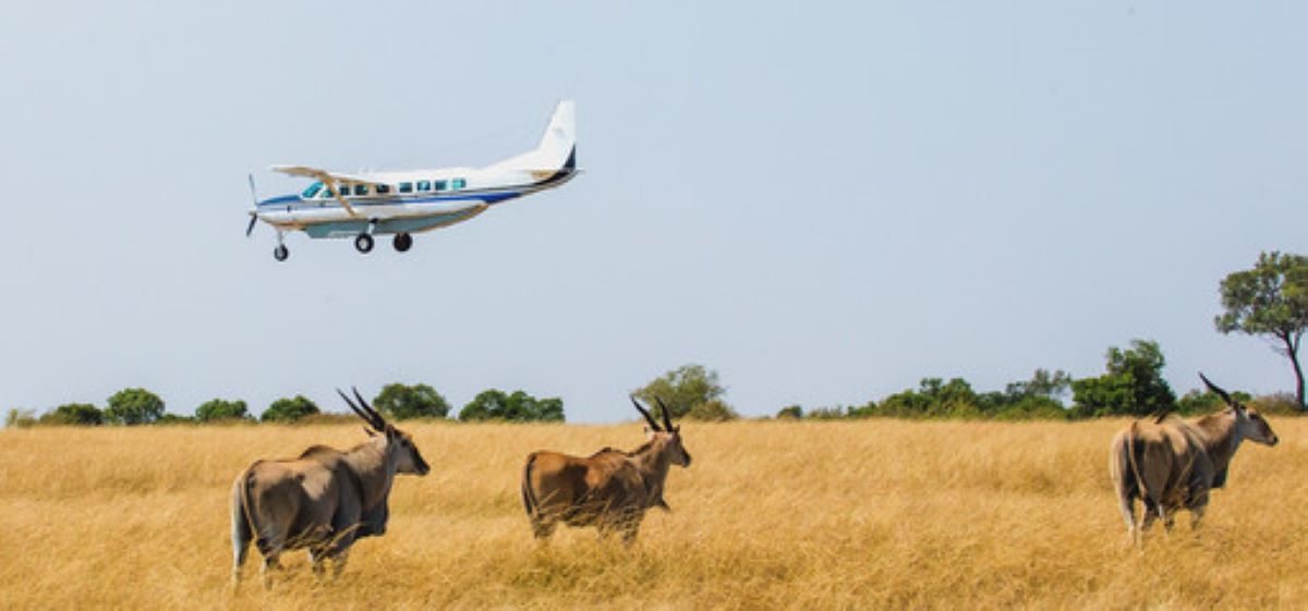 Luxury Safari Tanzania, Kenya Tanzania Safaris, Best safaris in Tanzania, Tanzania safari Packages, Tanzani Safari Holidays
