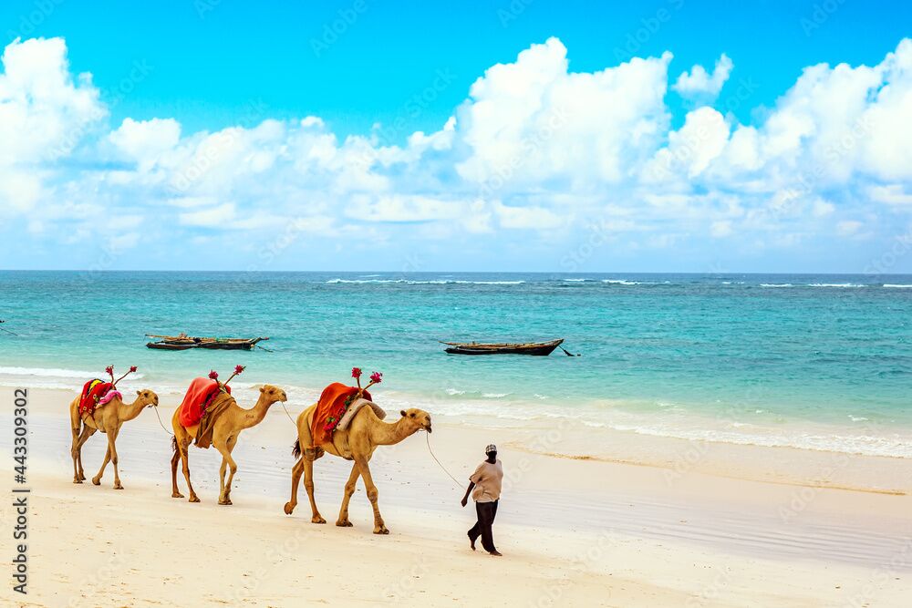mombasa safari price