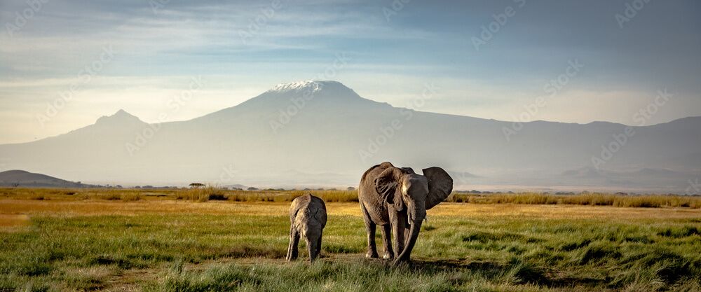 Tours and Travel Kenya