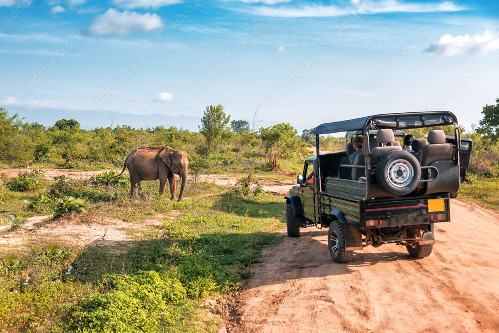 Safari to Kenya, Safari in Kenya, Kenya Safari Tour Operators, Beast Kenya Safari, Tours and Travel Kenya