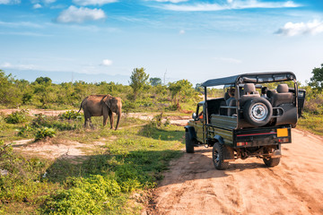 The Safest Countries in Africa