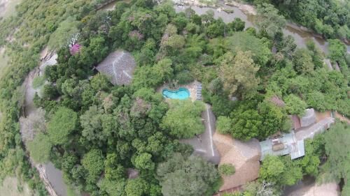 Kenya Safari