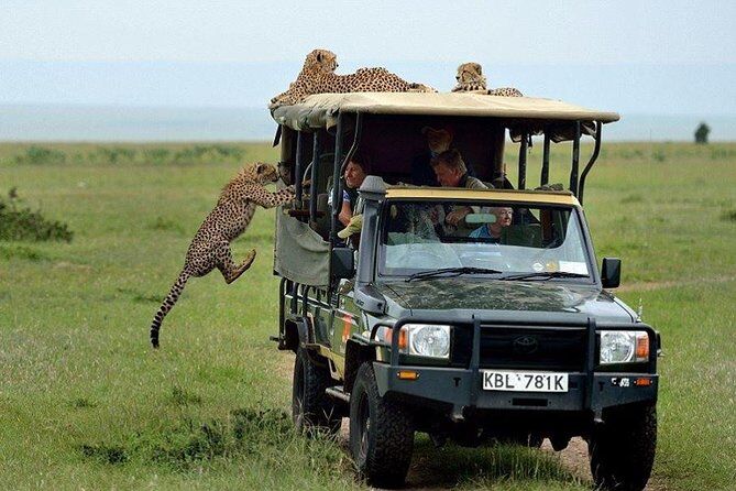 Safari holidays