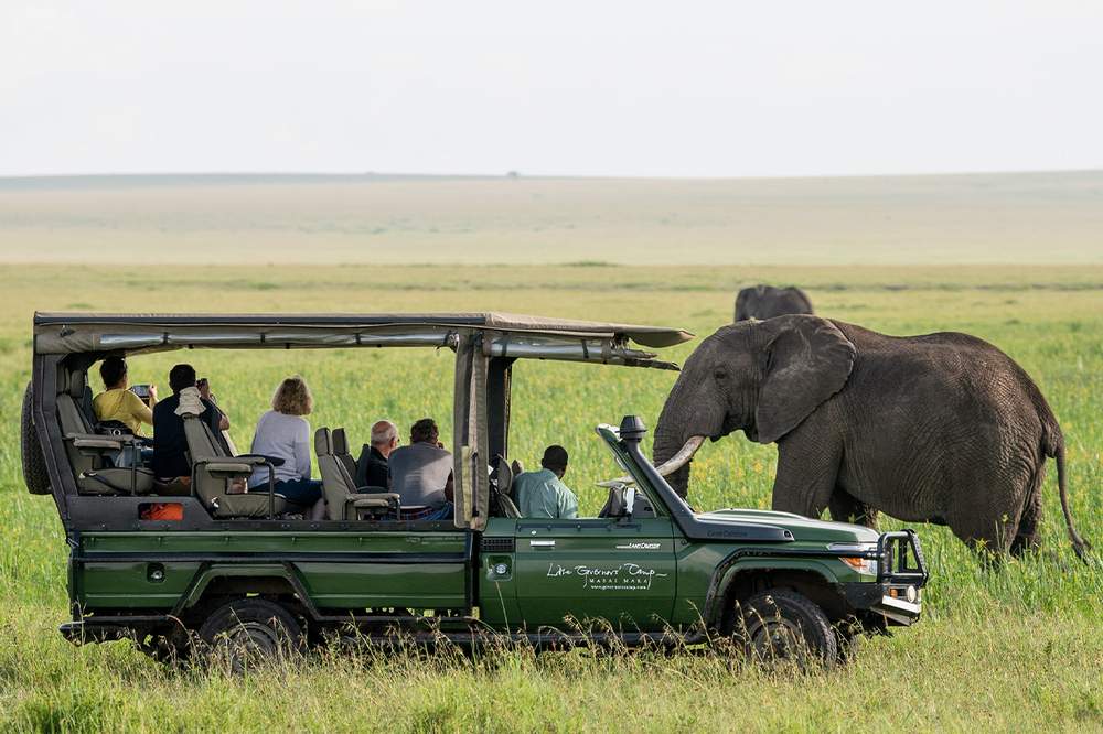 Maasai Mara Safaris