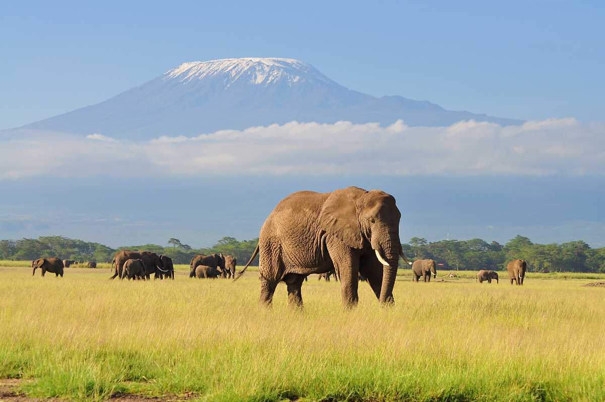 3 days amboseli national parking Kenya