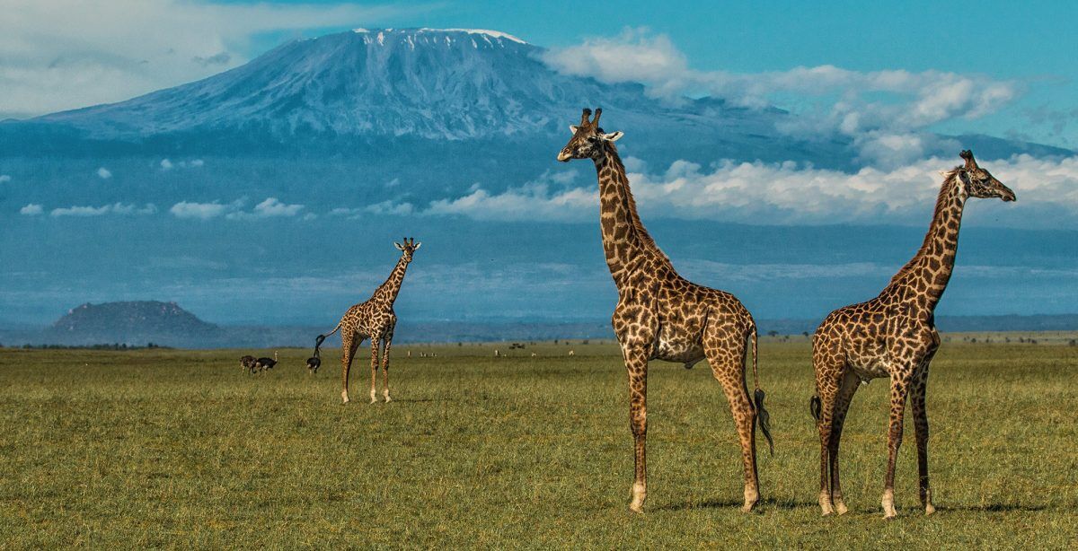 3 Days Maasai Mara Safari