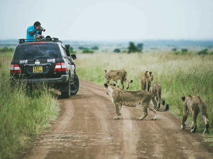 3 Days Safari Tsavo East and Tsavo West Safari Kenya