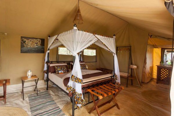 Best Safari Kenya
