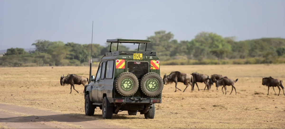 Tsavo East and Tsavo West Safari Price