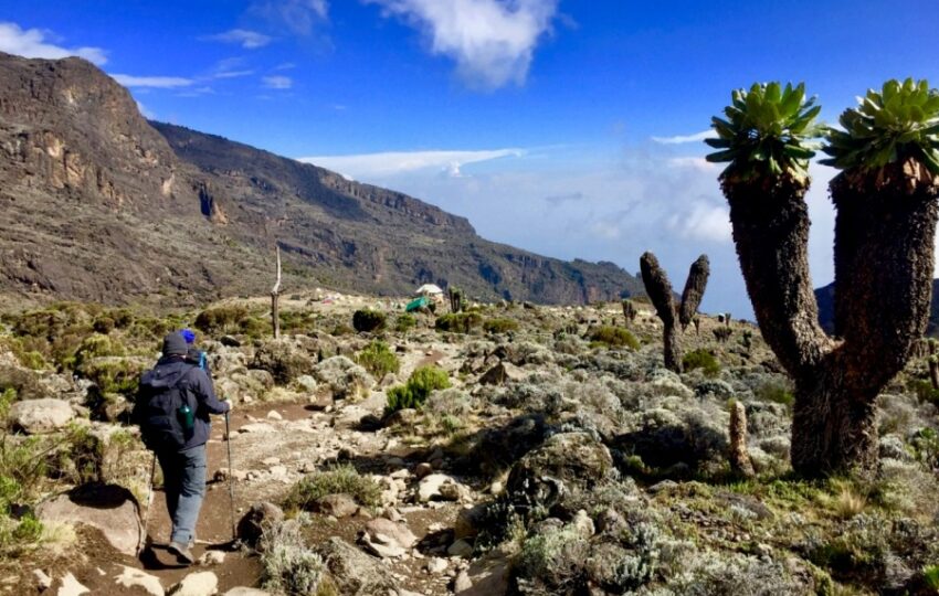 Machame